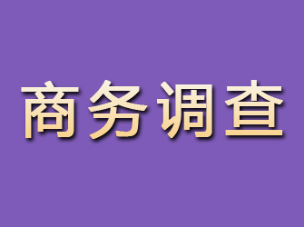 台儿庄商务调查